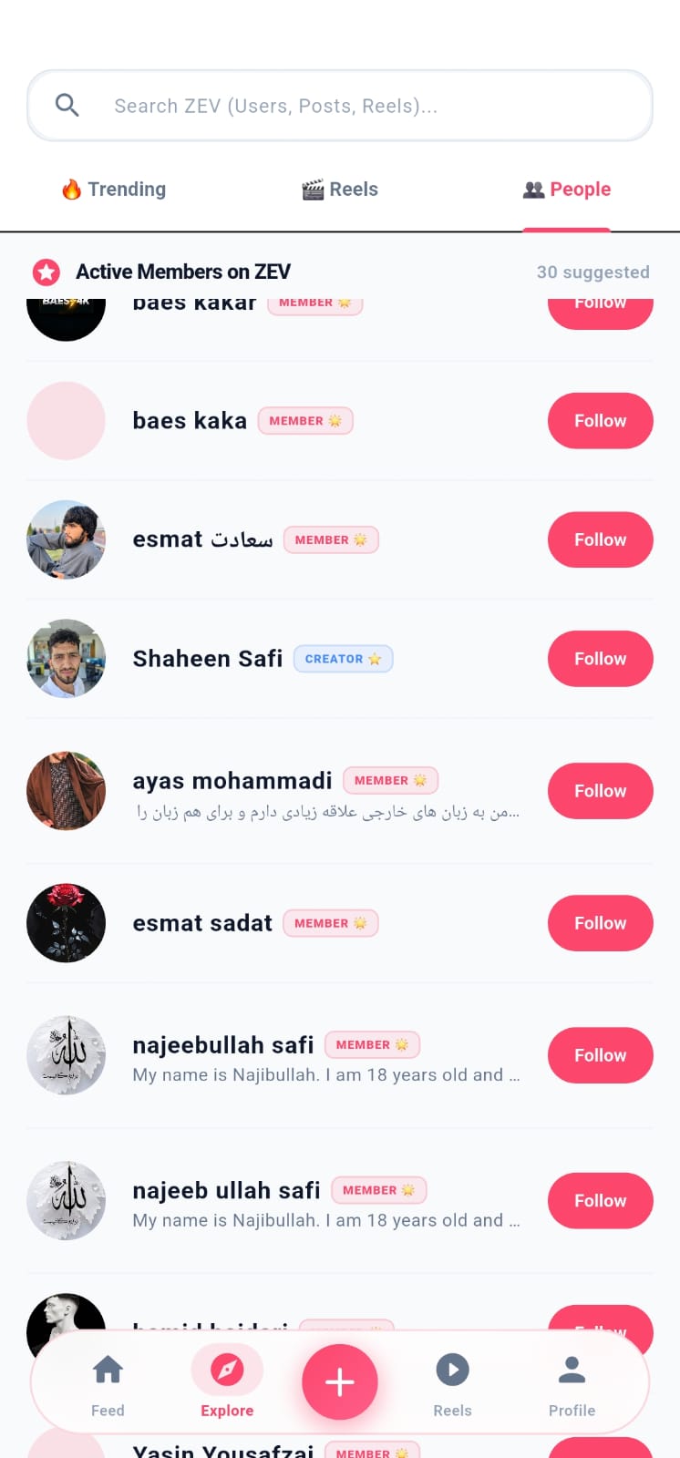 Feed & Stories